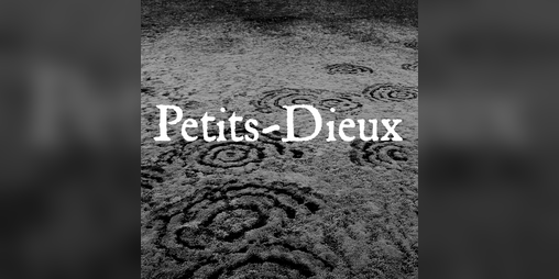 Cover image for Petits dieux