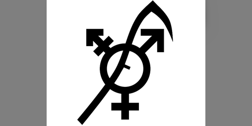 Cover image for Gender Alignment Chart