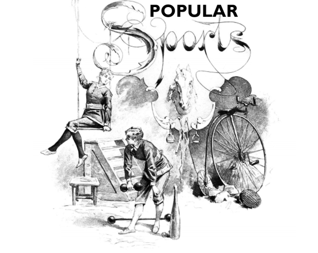 Cover image for Popular Sports