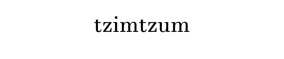 Tzimtzum (Demo)