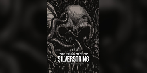 Cover image for The Other Side of Silverstring
