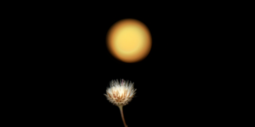 Cover image for Breathe In: Taking Your Time With Downtime