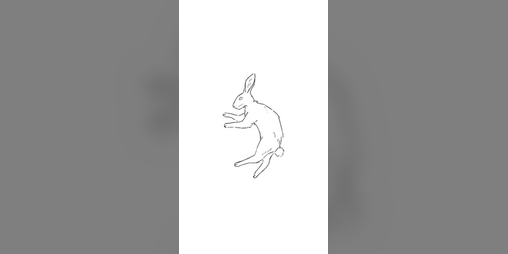 Cover image for The Rabbit