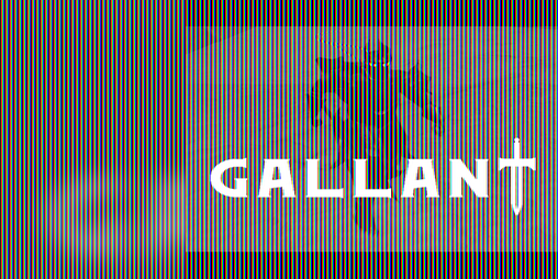 Cover image for Gallant