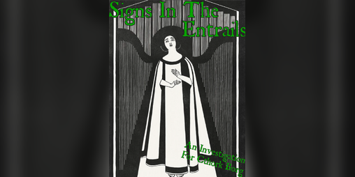 Cover image for Signs In The Entrails