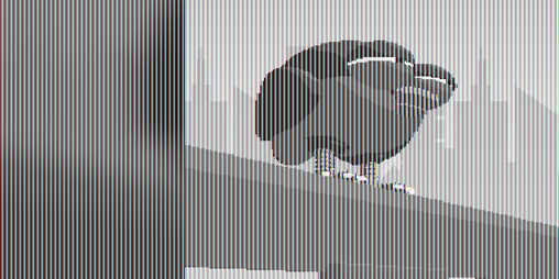 Cover image for Pigeons Pigeons