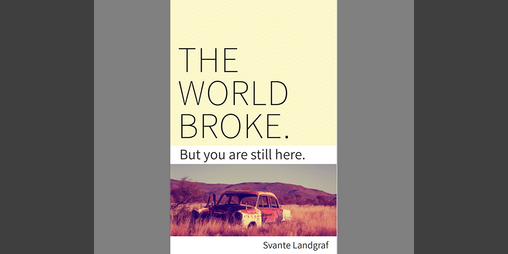 Cover image for THE WORLD BROKE
