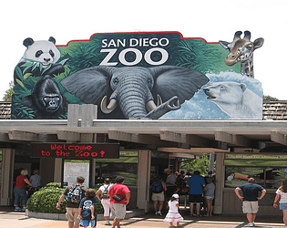 Zoo Game