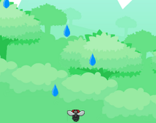Fly in the Rain
