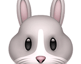Bunny Land: Trick Land