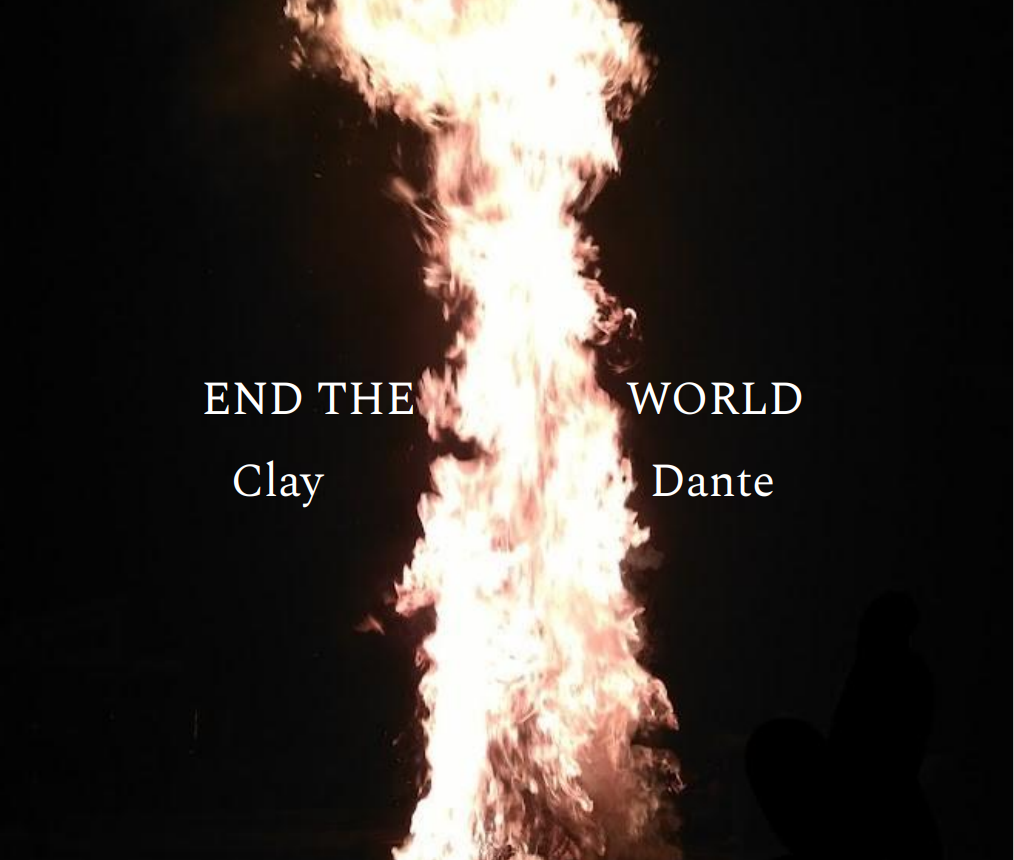 Cover image for END THE WORLD