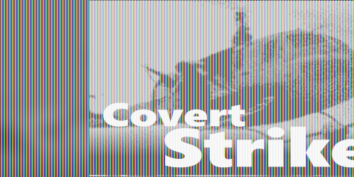 Cover image for CovertStrike