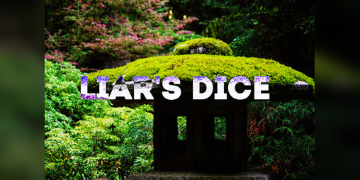 Cover image for Liar's Dice