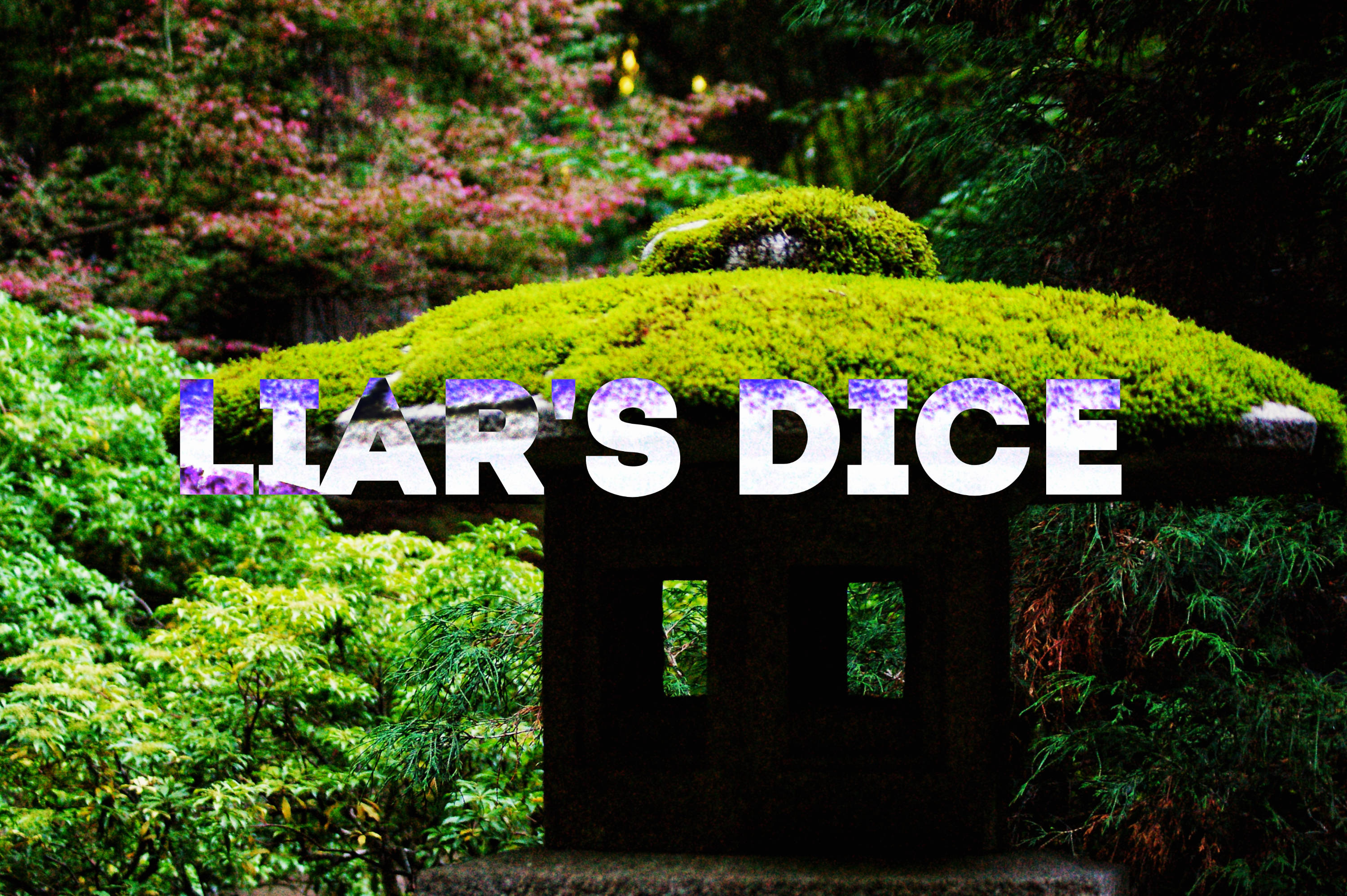 Cover image for Liar's Dice