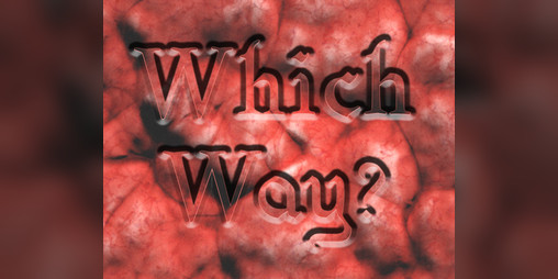 Cover image for Which Way?