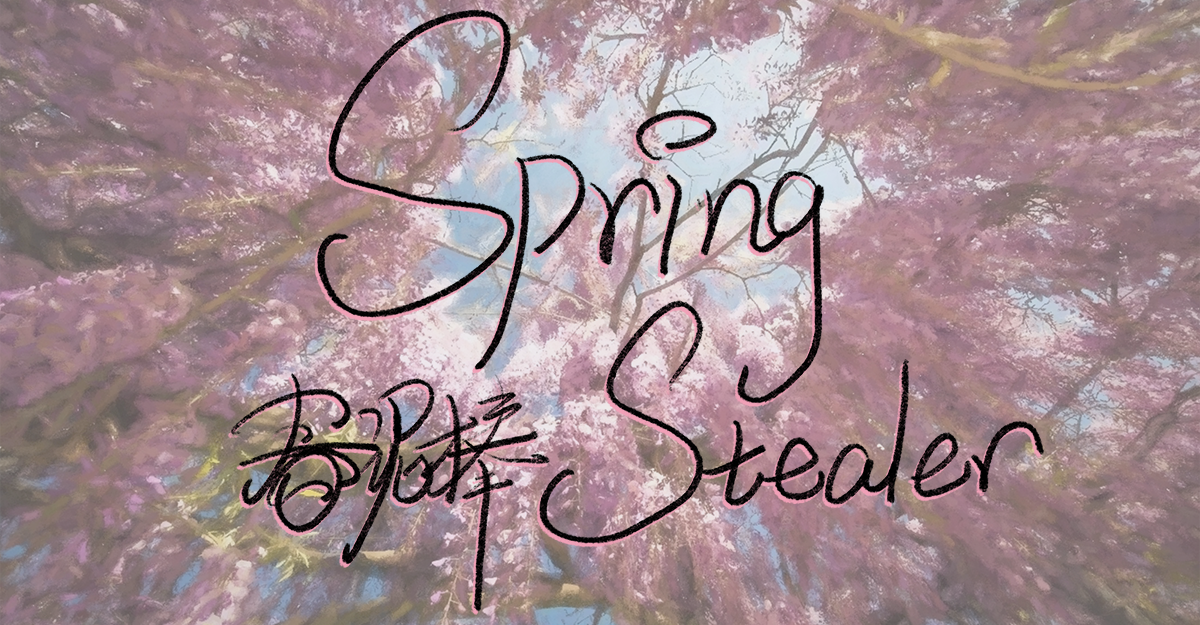 Spring Stealer