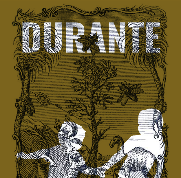Cover image for DURANTE