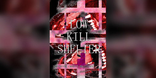 Cover image for Low Kill Shelter