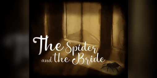 Cover image for The Spider and the Bride