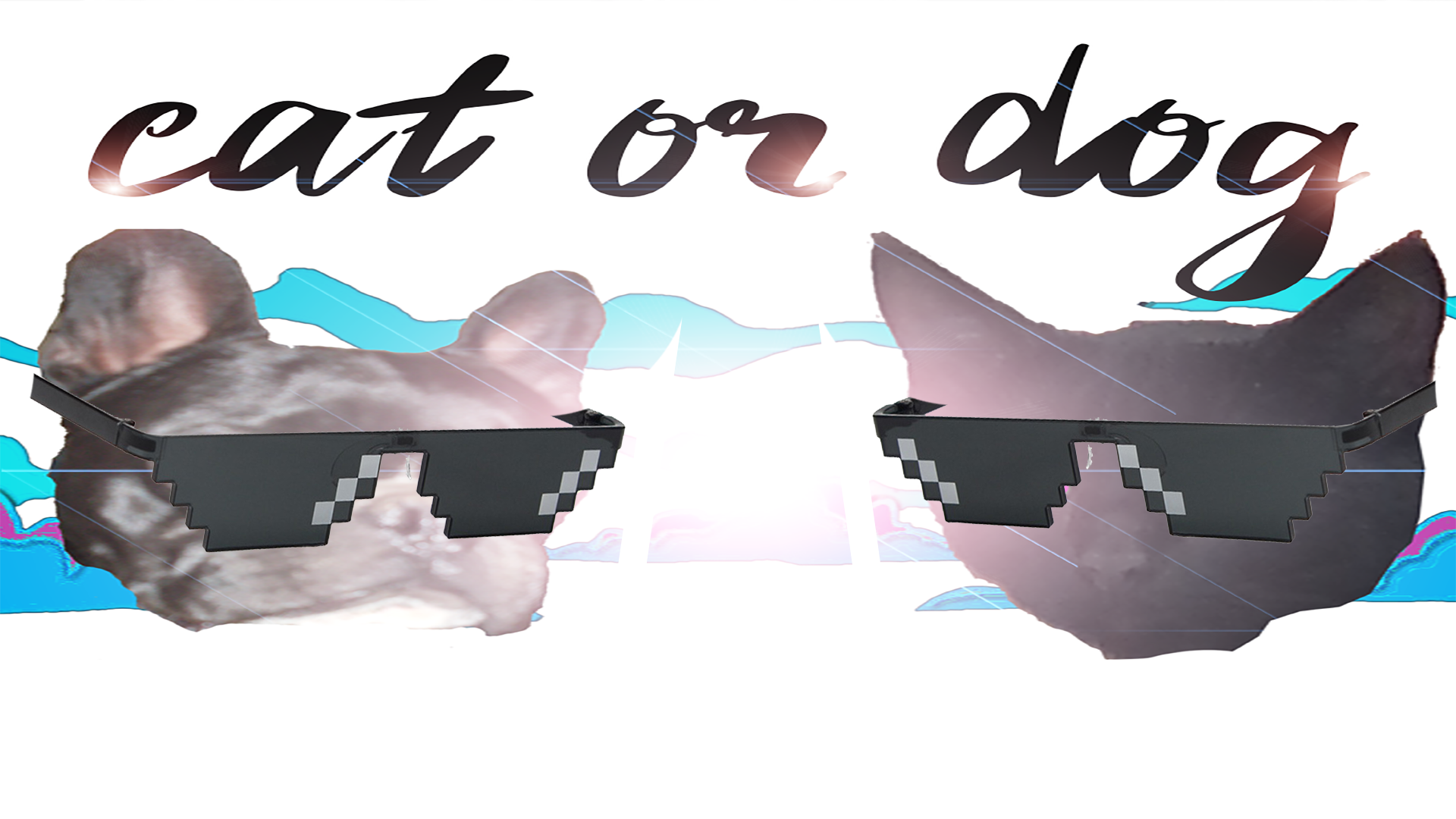 JUEGO GRATIS. Cat or Dog