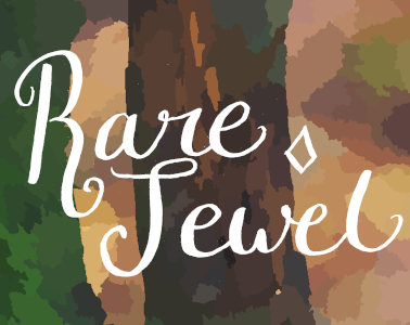 Cover image for Rare Jewel