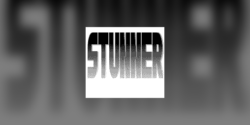 Cover image for STUNNER