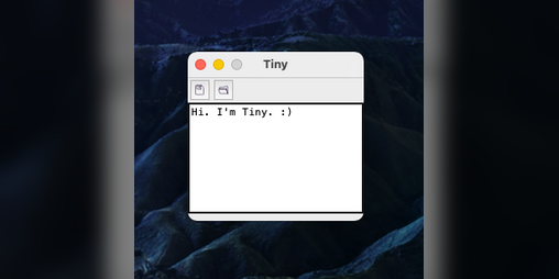 Cover image for Tiny