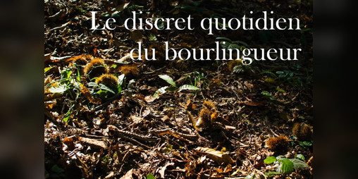Cover image for Le discret quotidien du bourlingueur