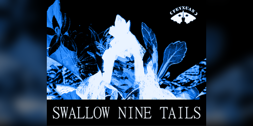 Cover image for SWALLOW NINE TAILS