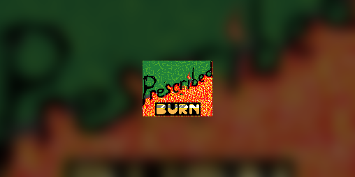 Cover image for Prescribed Burn