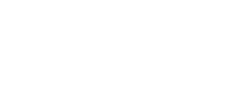 The Salatroitsk Incident