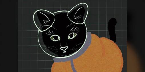Cover image for The Unsettled Space Cat