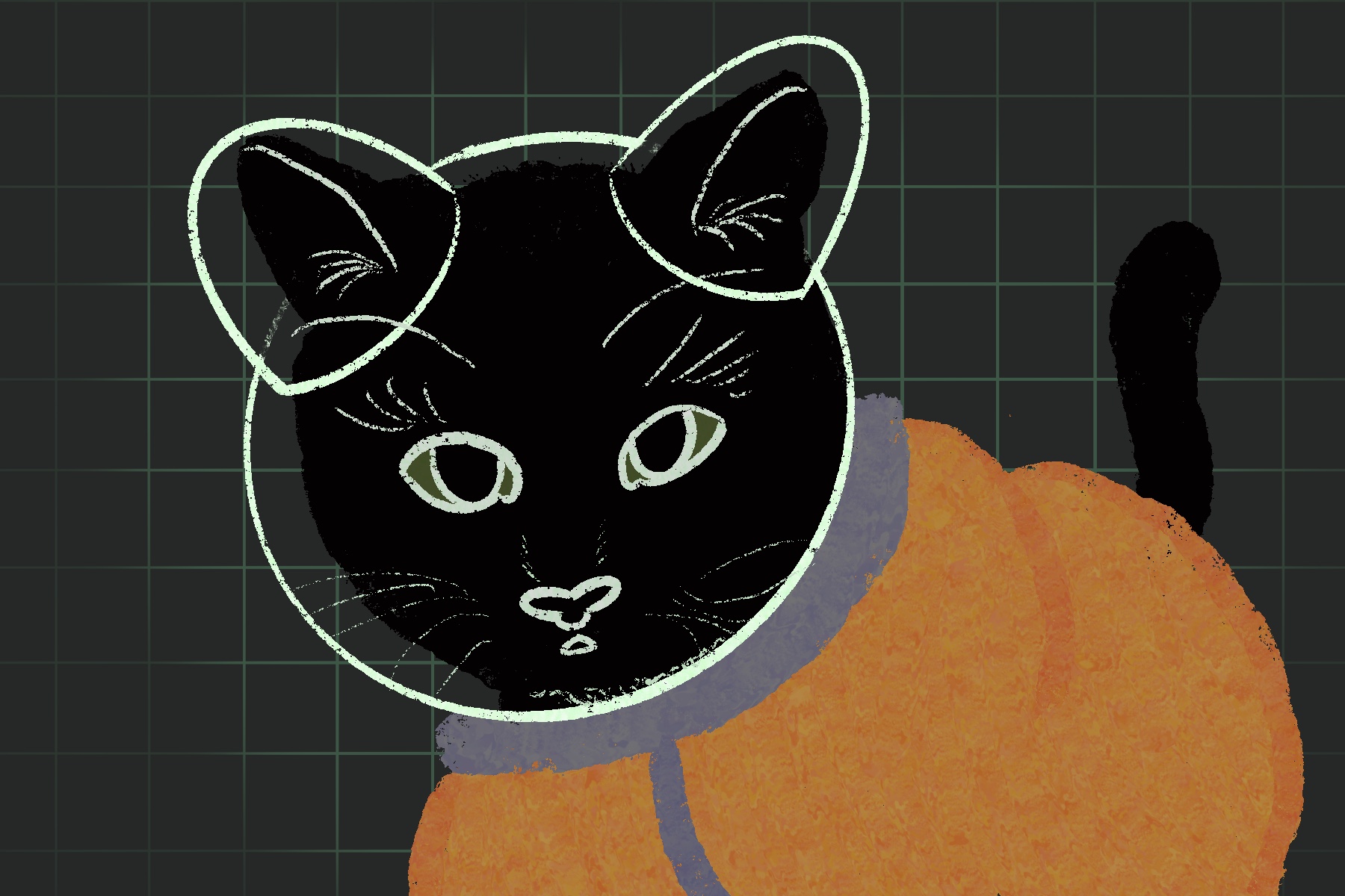 Cover image for The Unsettled Space Cat