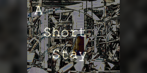 Cover image for A Short Stay