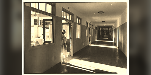 Cover image for Asylum