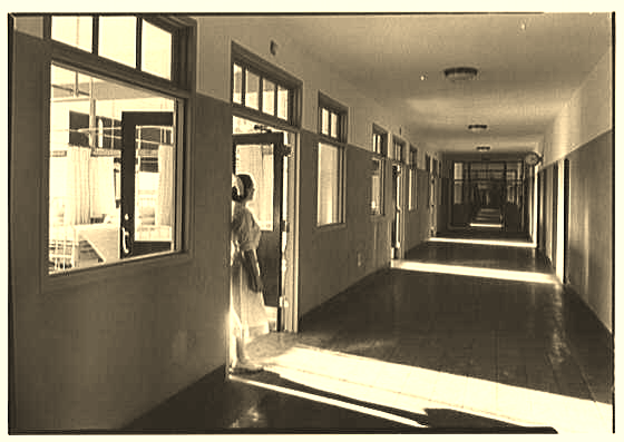 Cover image for Asylum