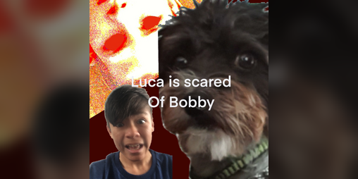 Cover image for Luca Is Scared Of Bobby