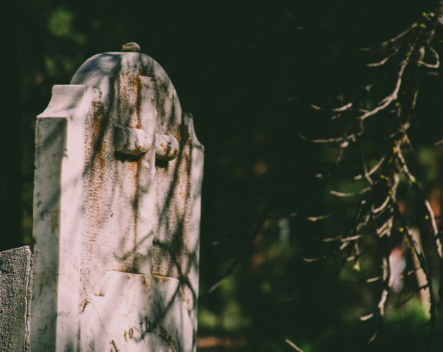 Cover image for What Lies Dead and Buried