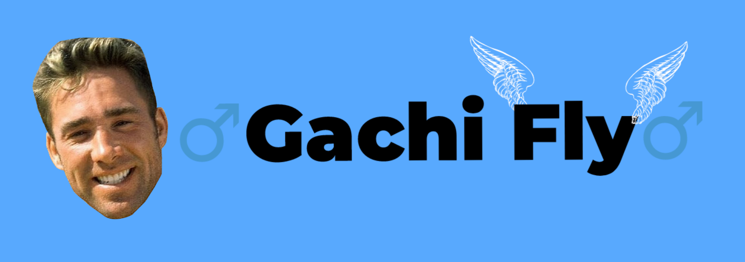 Gachi Fly
