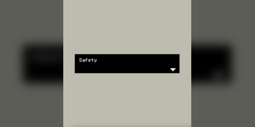 Cover image for Safety