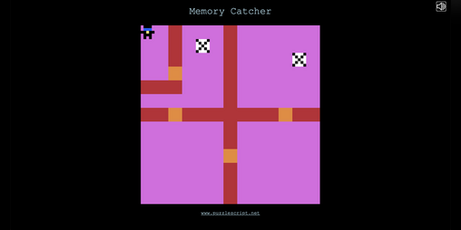 Cover image for Memory Catcher