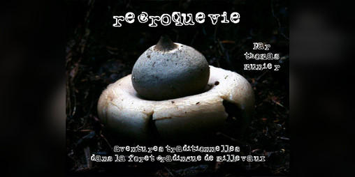 Cover image for Recroquevie