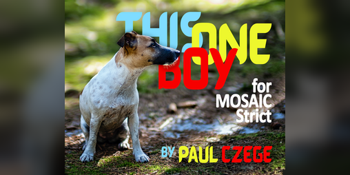 Cover image for This One Boy for MOSAIC Strict