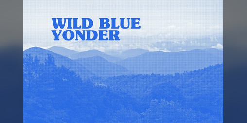 Cover image for Wild Blue Yonder