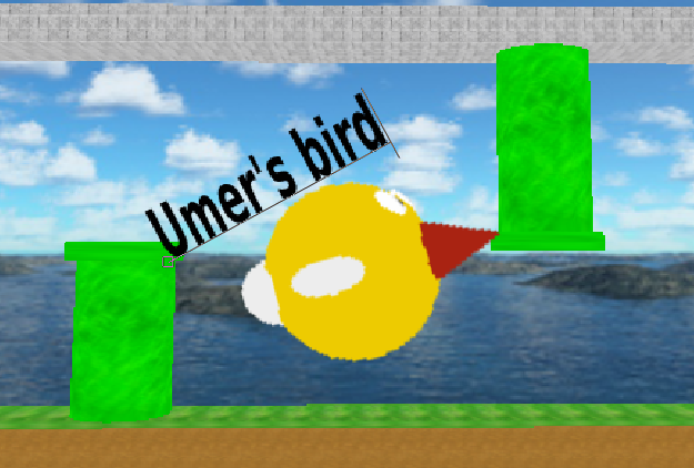 Umer bird