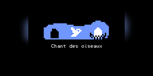 Cover image for Chant des oiseaux