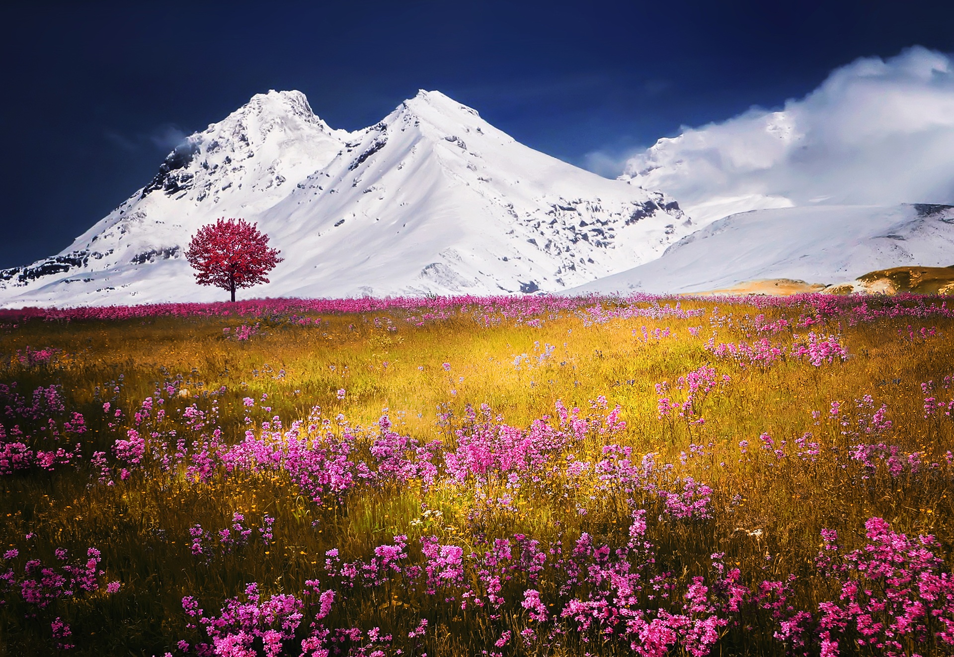 Cover image for Seeds and soil