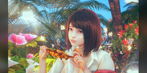 Cover image for Travel to Zukinawa