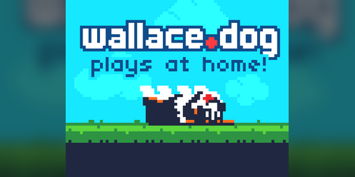 Cover image for Wallace.dog Plays at Home!