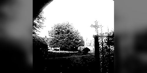 Cover image for Village Tongues